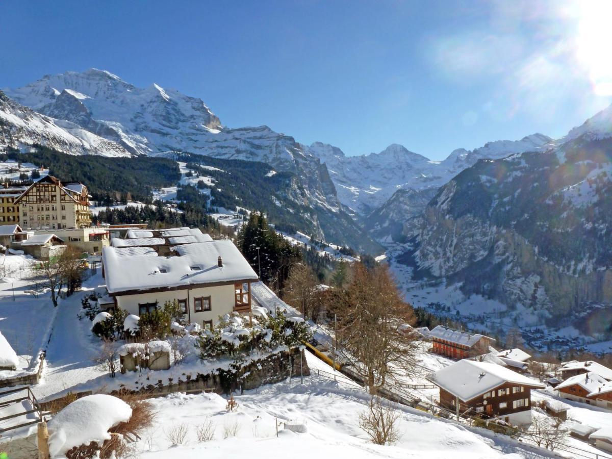 Apartment Panoramapark Soleil Haus D Apt 3 By Interhome Wengen Kültér fotó