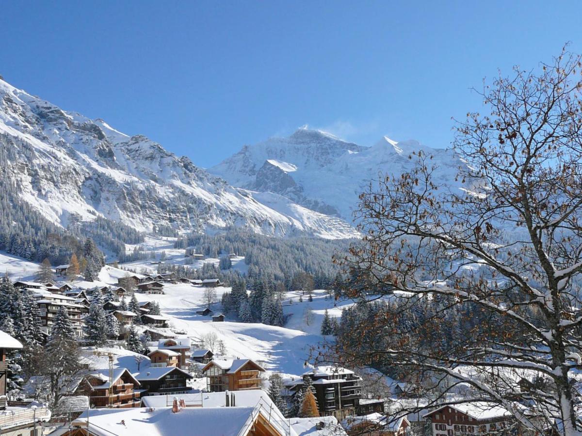 Apartment Panoramapark Soleil Haus D Apt 3 By Interhome Wengen Kültér fotó