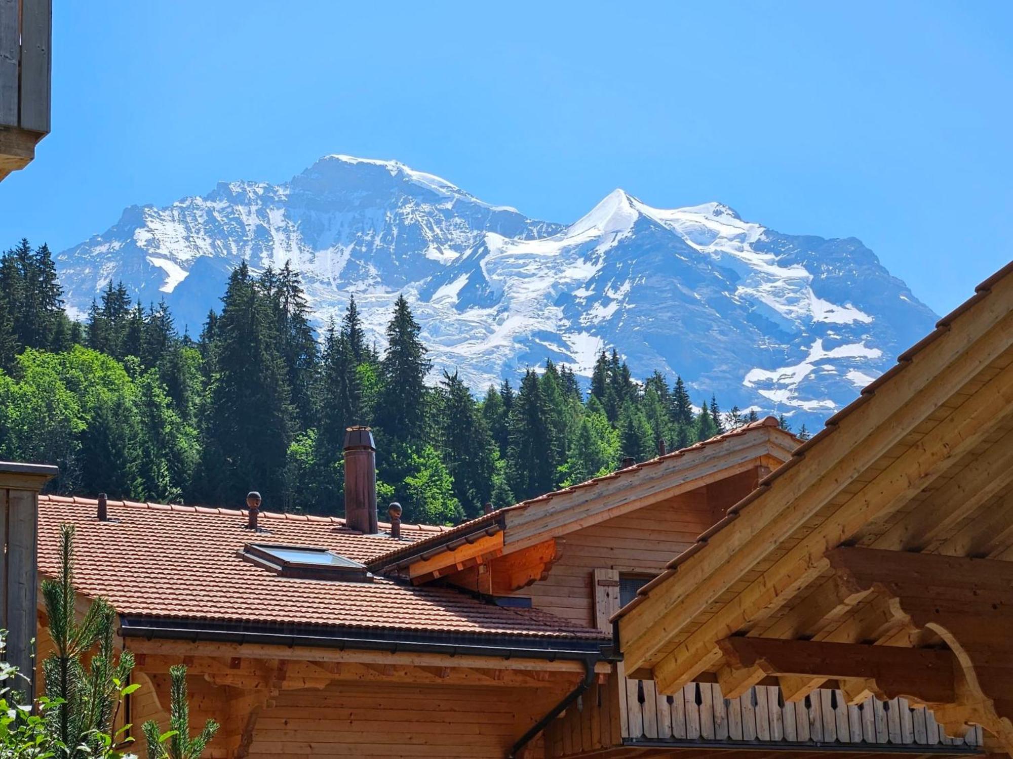 Apartment Panoramapark Soleil Haus D Apt 3 By Interhome Wengen Kültér fotó