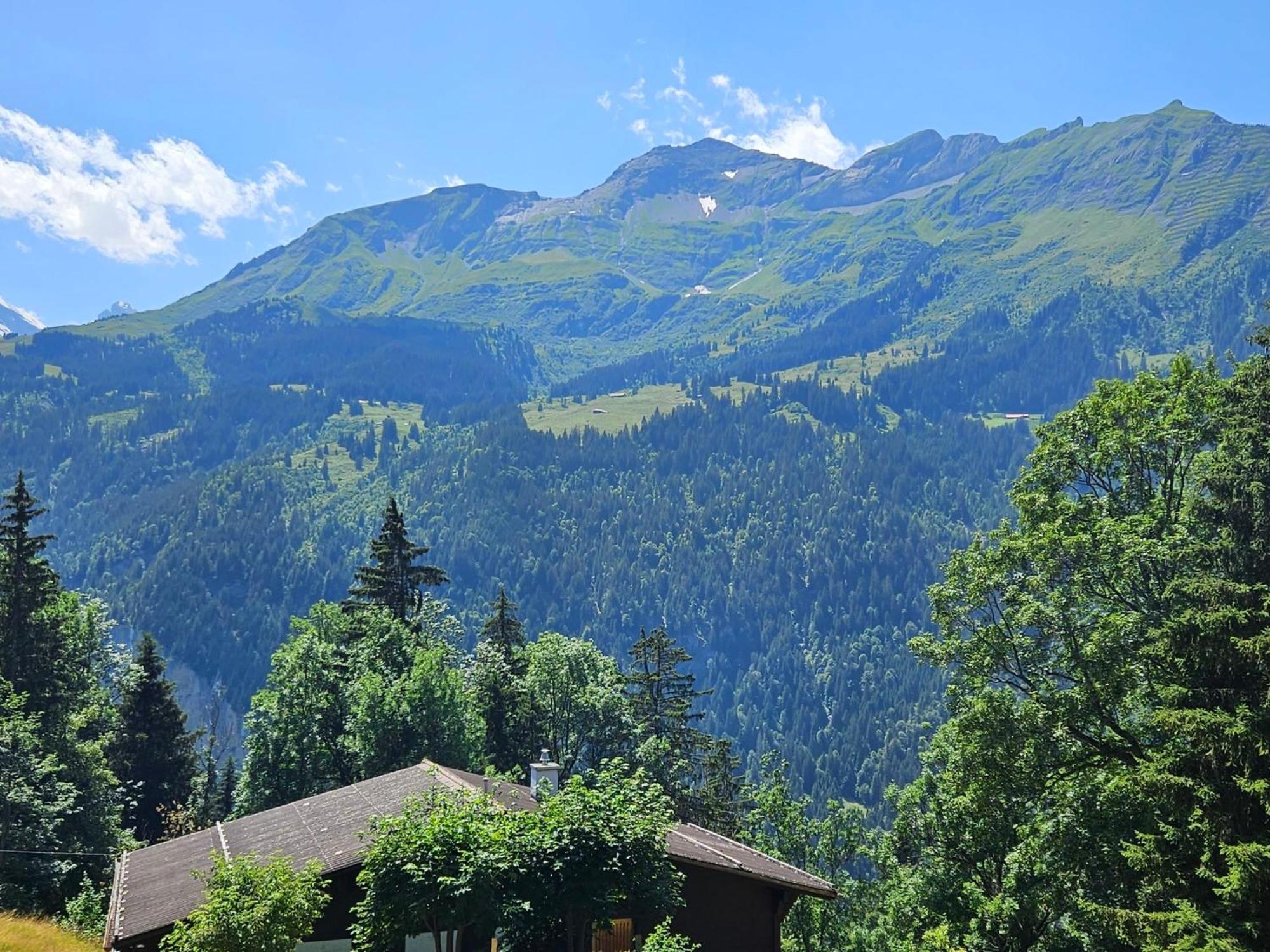 Apartment Panoramapark Soleil Haus D Apt 3 By Interhome Wengen Kültér fotó