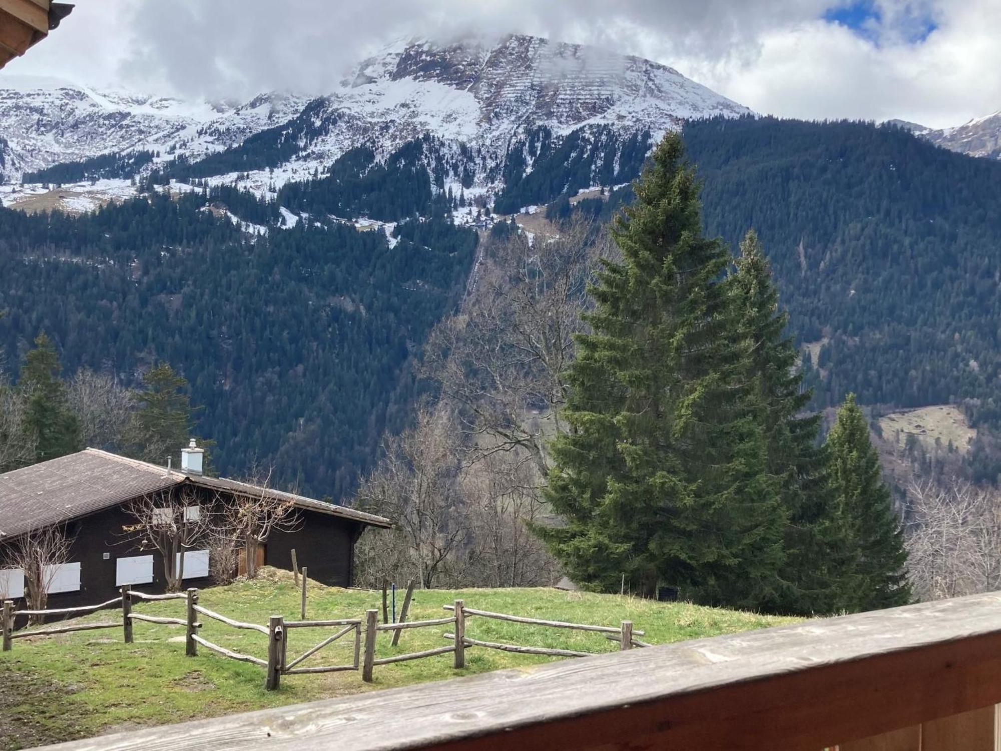 Apartment Panoramapark Soleil Haus D Apt 3 By Interhome Wengen Kültér fotó