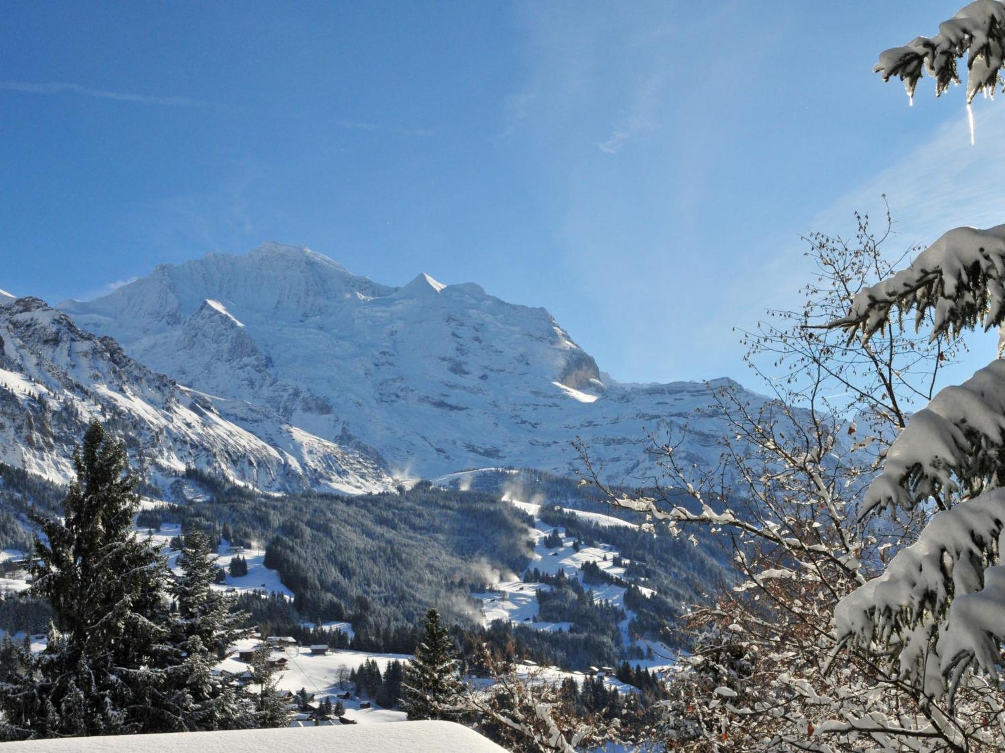 Apartment Panoramapark Soleil Haus D Apt 3 By Interhome Wengen Kültér fotó